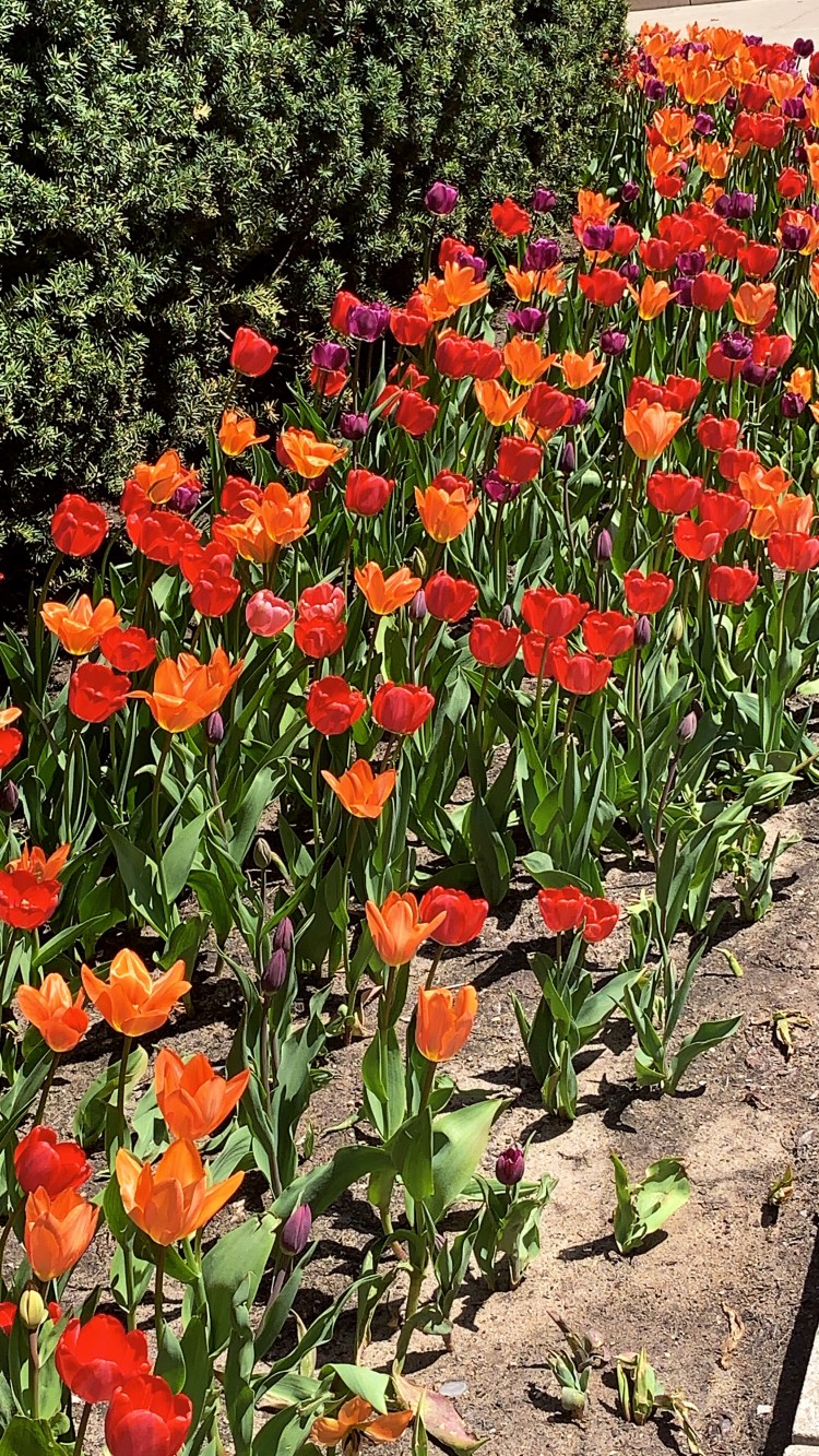 224CC012-5D01-4A23-AEE8-6977FB578F2B