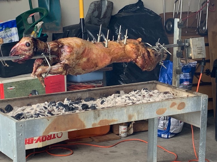 bnuskFWKRbujE3xEgzfE1Q