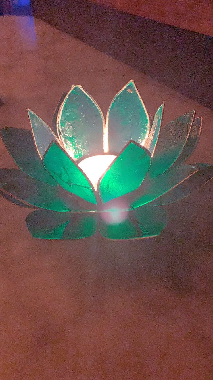 89C3D313-C5AF-409E-90FD-6D23D3869C88